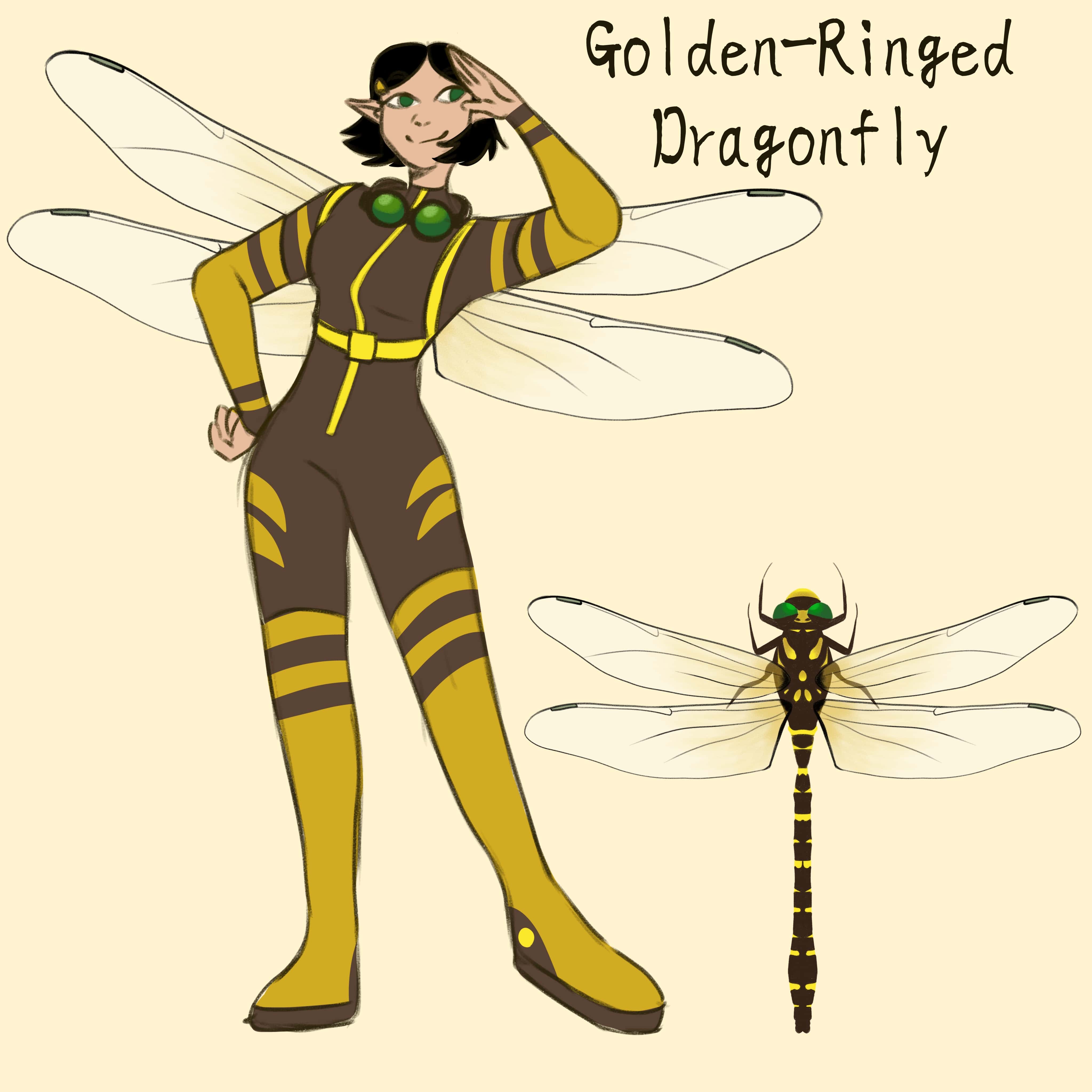 dragonfly